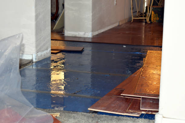 Professional Basement Flood Cleanup technician working in Stockport, OH